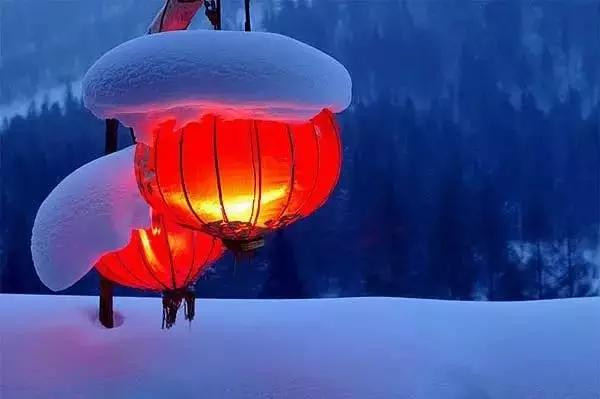 5c272e223bbe2.jpg 元旦5.jpg